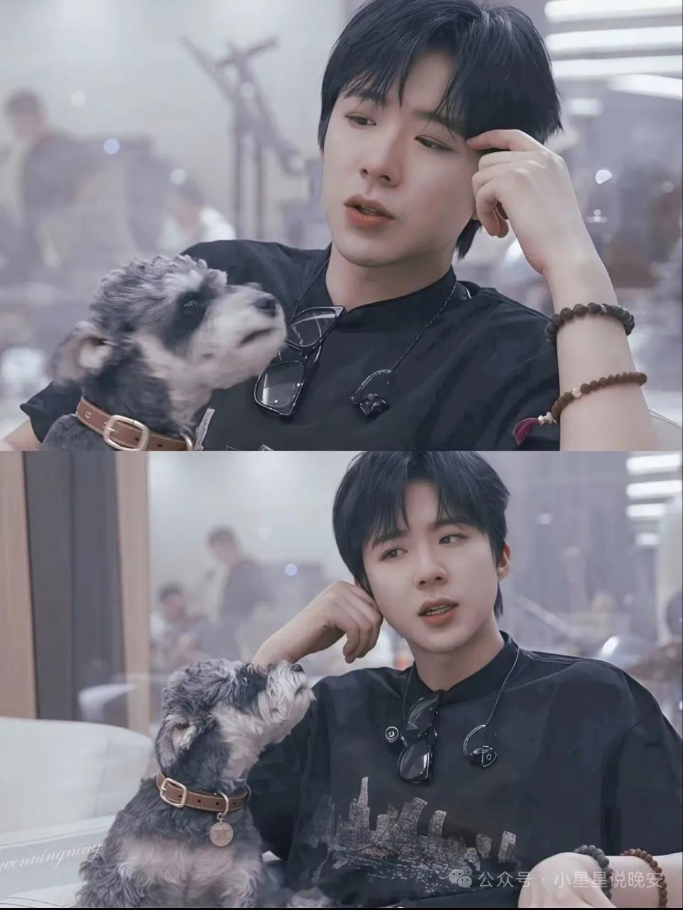 【宁哥&呆米的“营业”日常】鼻尖狂蹭求贴贴的呆米=今日份可爱超标！修勾这波撒娇攻