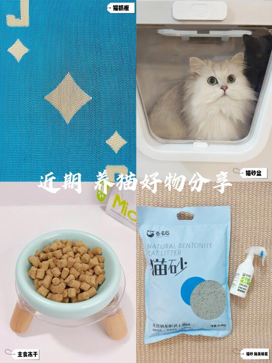 近期养猫好物分享💭