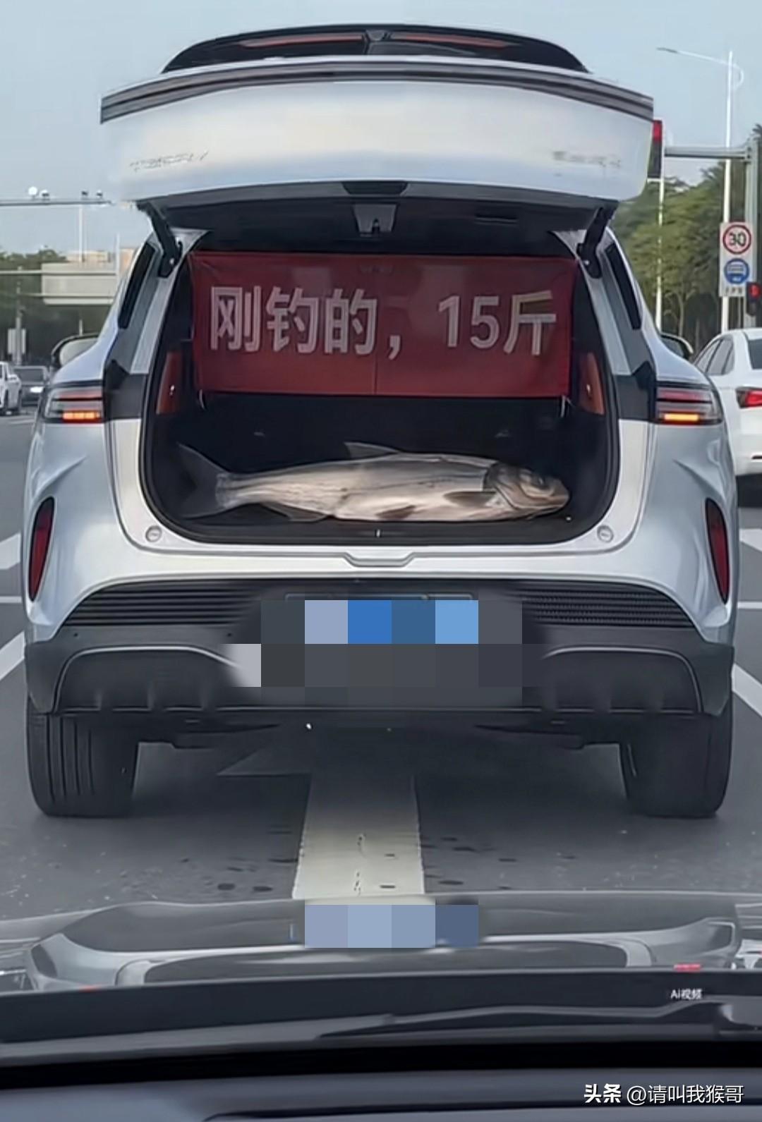 买了多年的电动尾门车终于派上用场了