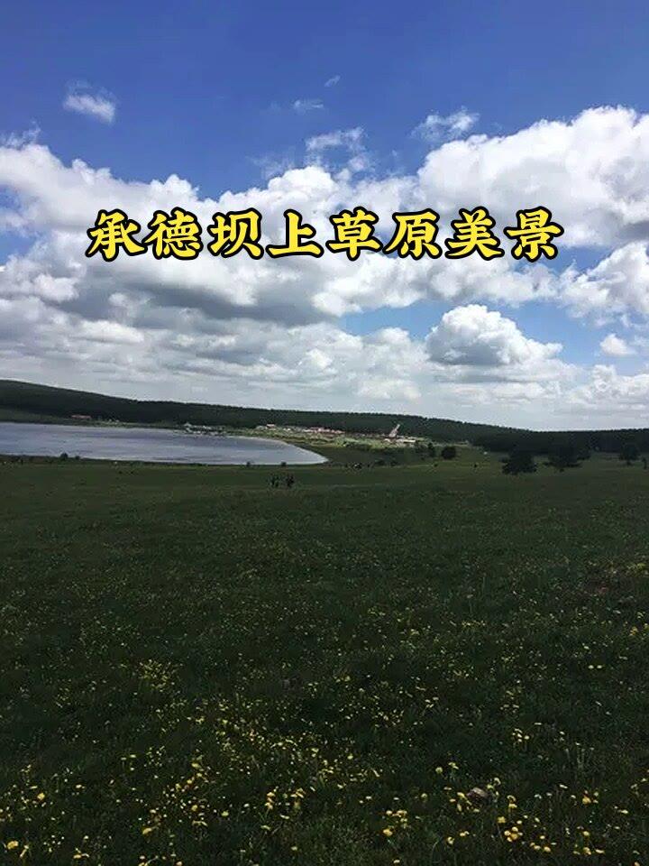 夏日生活打卡季
