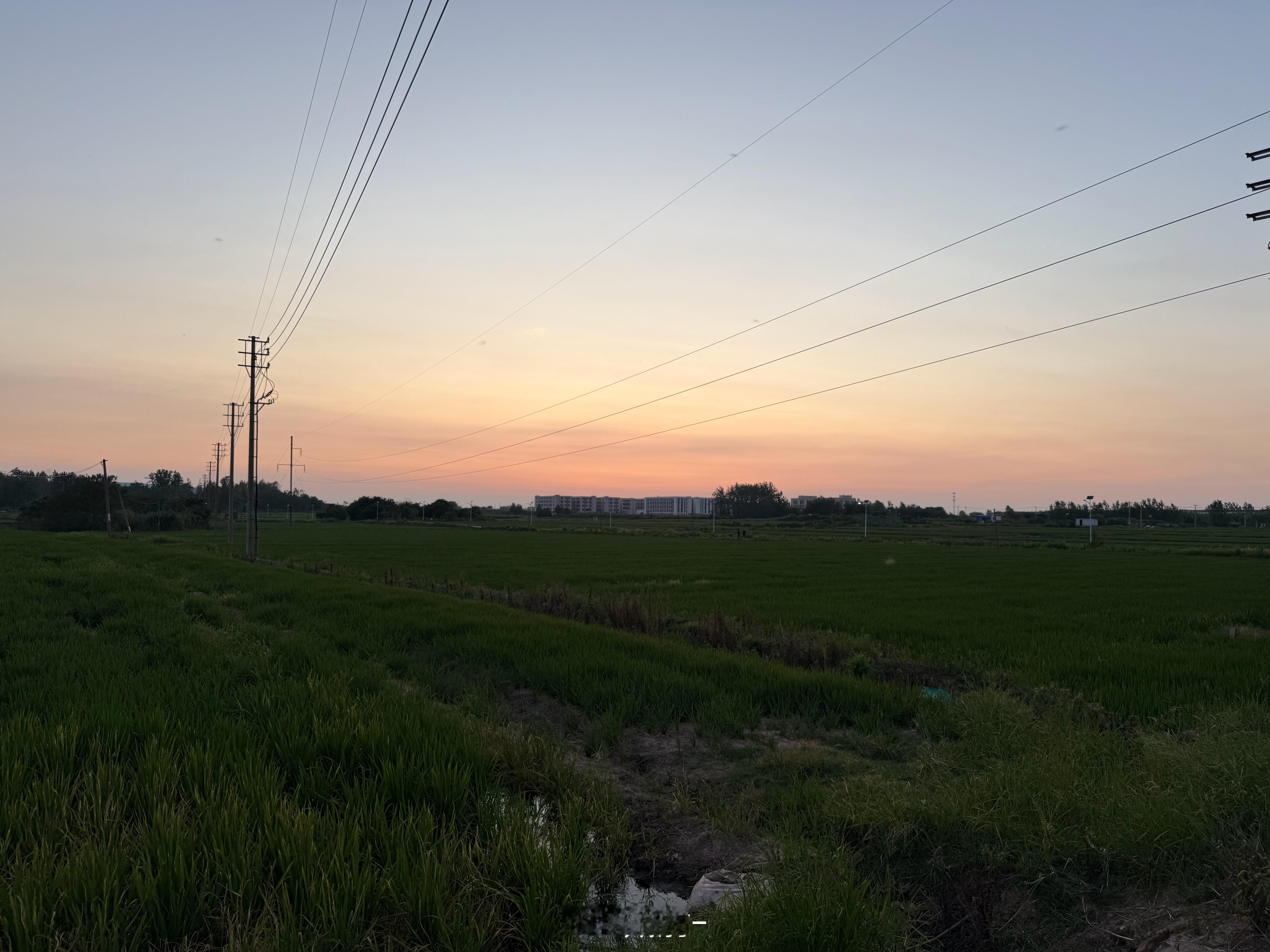 回乡下小住几日这环境是真的舒坦啊 ​​​