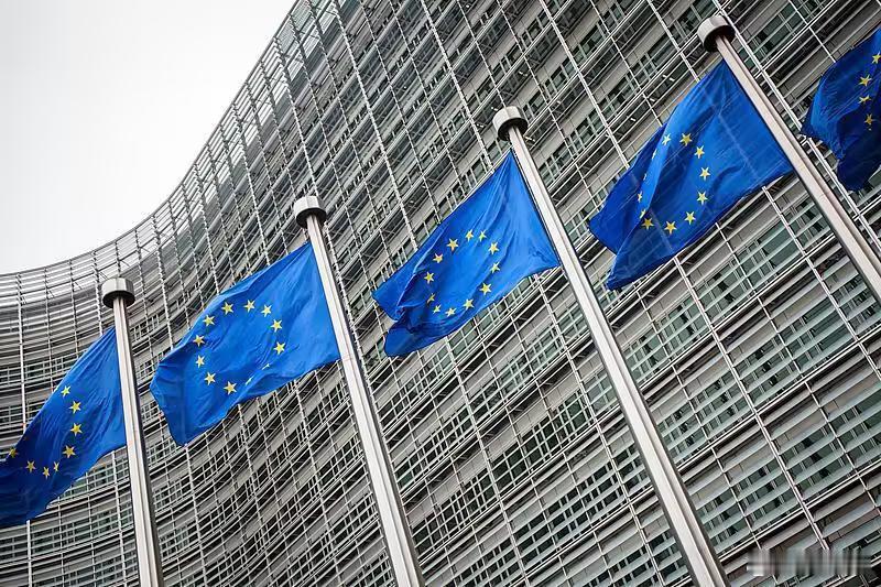 欧洲10国称将为乌克兰组建多国部队当地时间12月15日晚间，德国、法国、英国、意