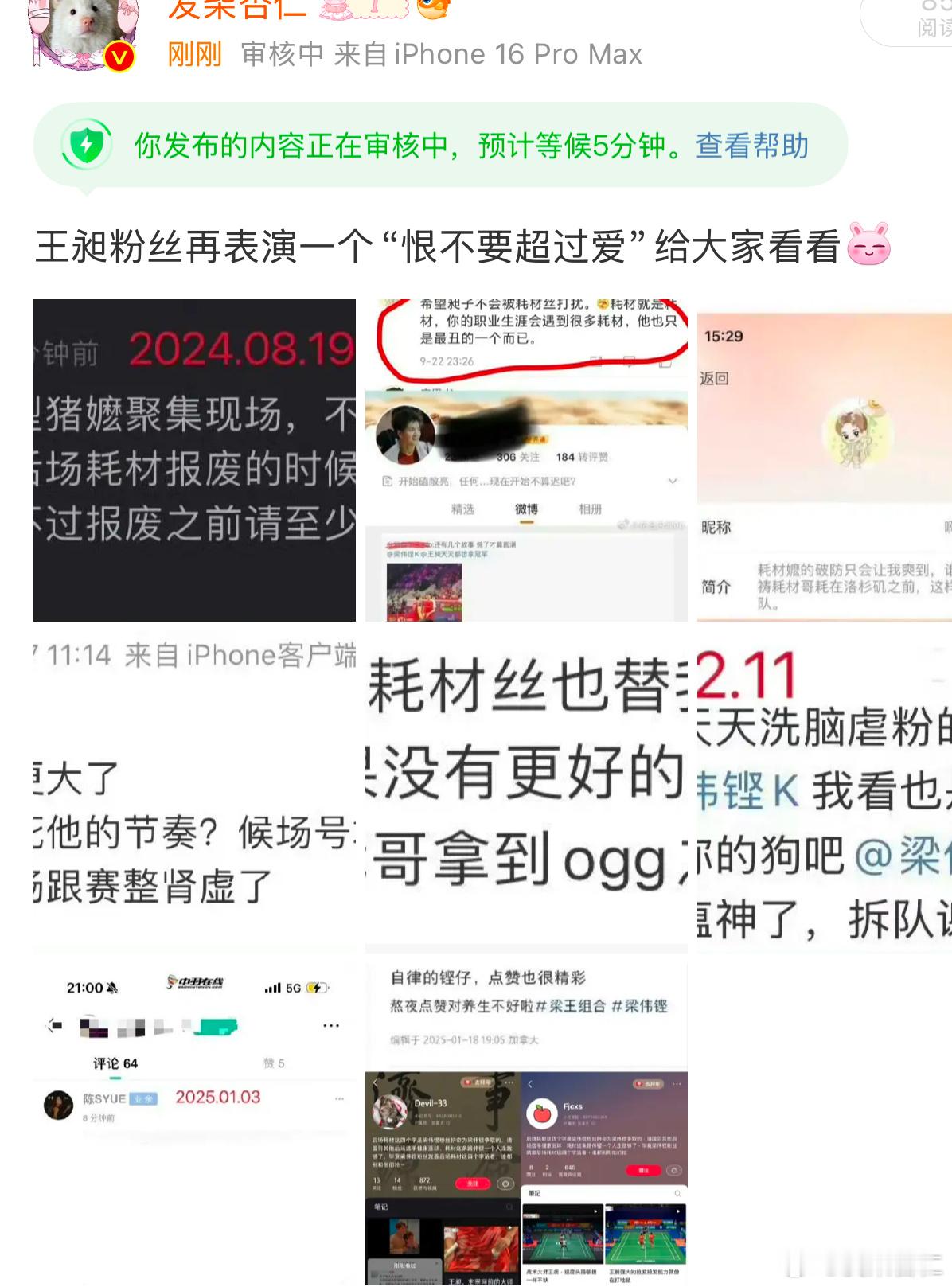 王昶粉丝讲的话发个截图都要被审核，足以证明有多恶毒[微笑] 