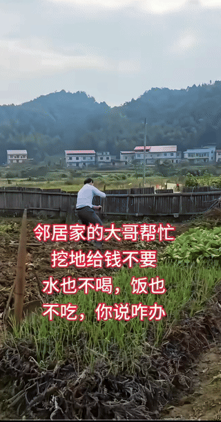 大田挖了，旁边的小田估计他也不会拉下的，这叫不漏一块地。
可弄几个菜，拿瓶高度酒