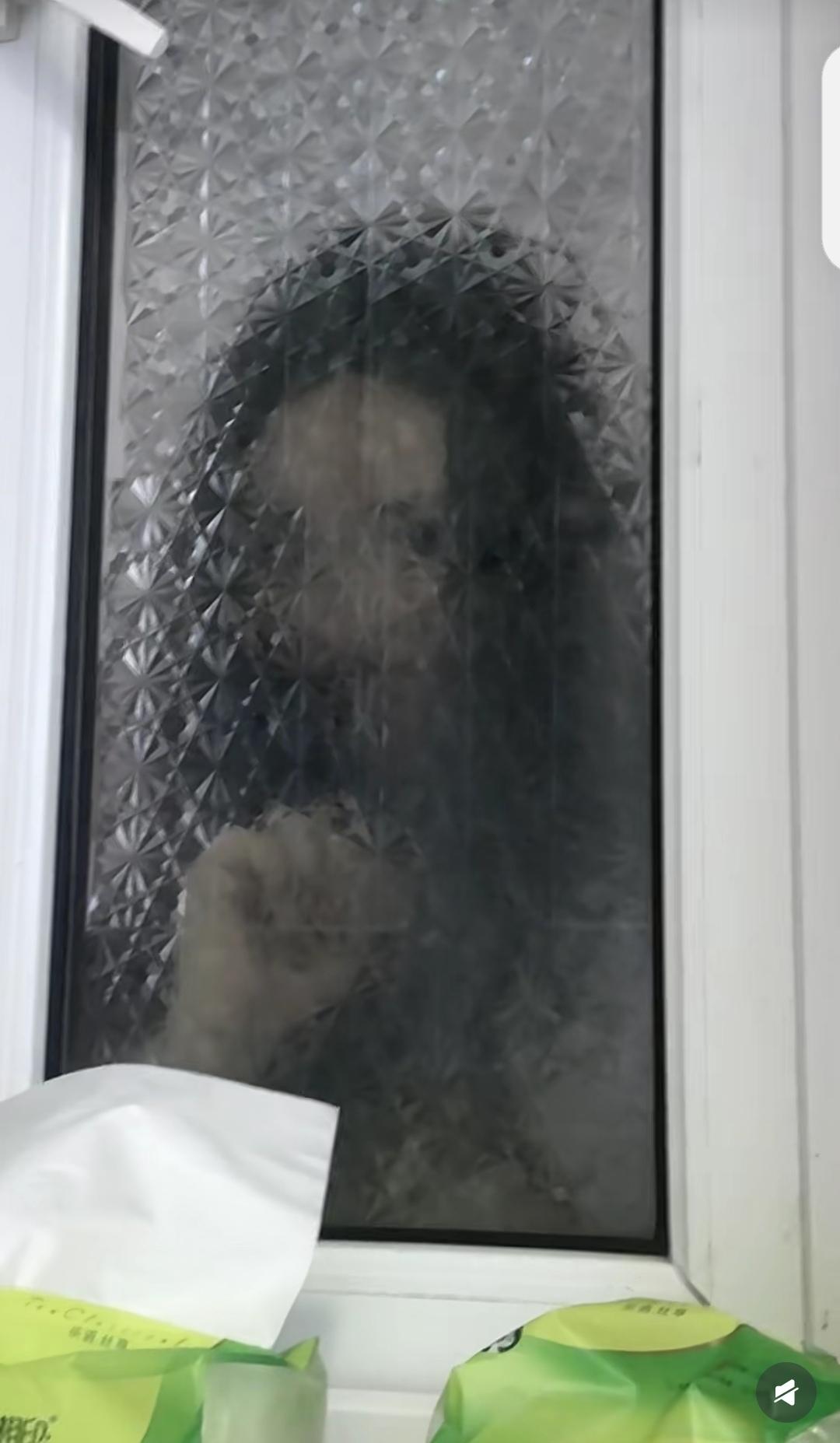 第一次到新交的女朋友家吃晚饭，突然肚子疼，在上厕所时女朋友隔着玻璃门问我晚上要不