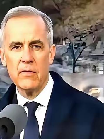 加拿大总理卡尼，亲手撕了剧本。
前脚刚跟着美国，把中国电车的关税加到100%，后