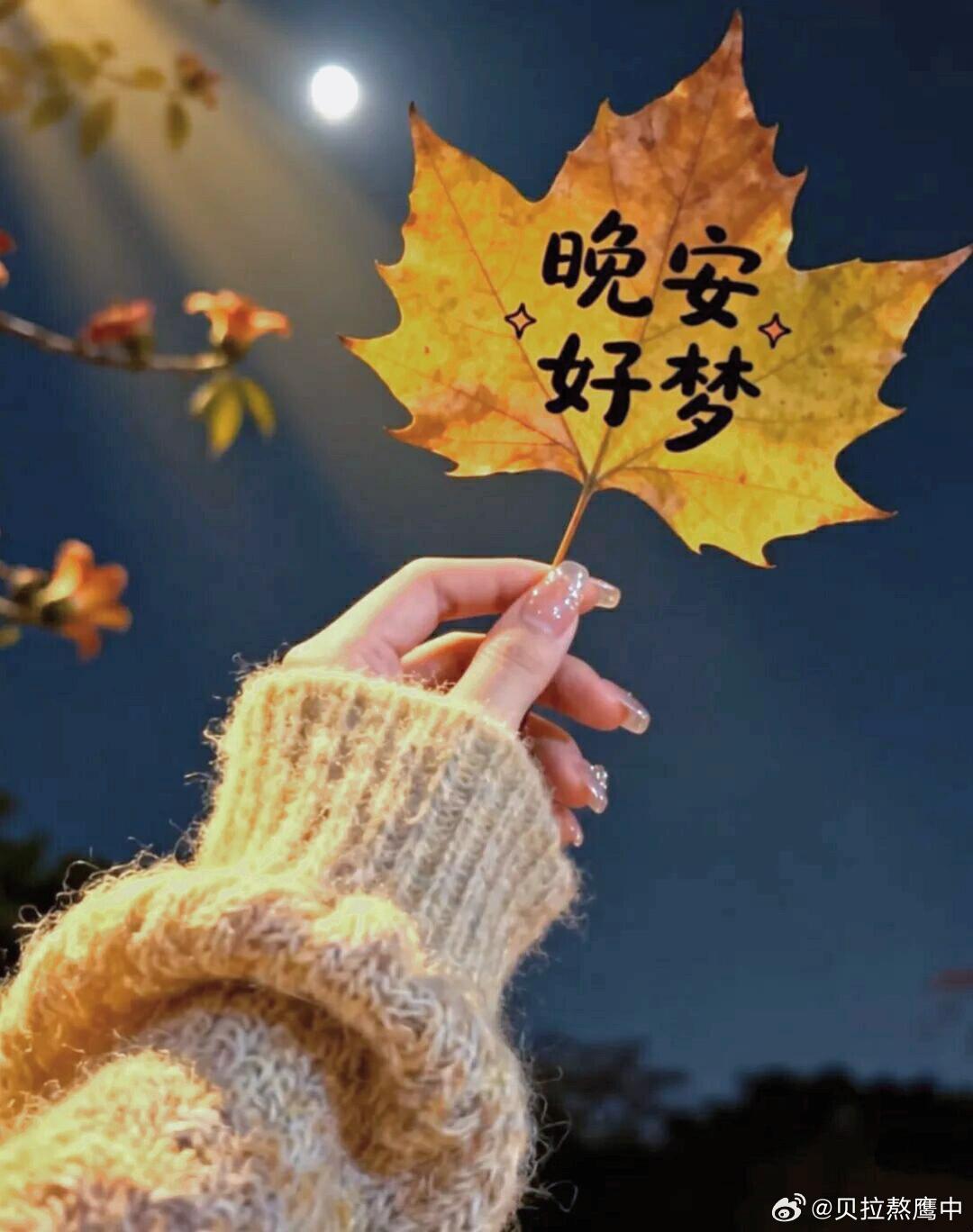 晚安 生活万般滋味，终会归于安稳平淡。经历忙碌、奔赴、坚持与等待，终会遇见属于自