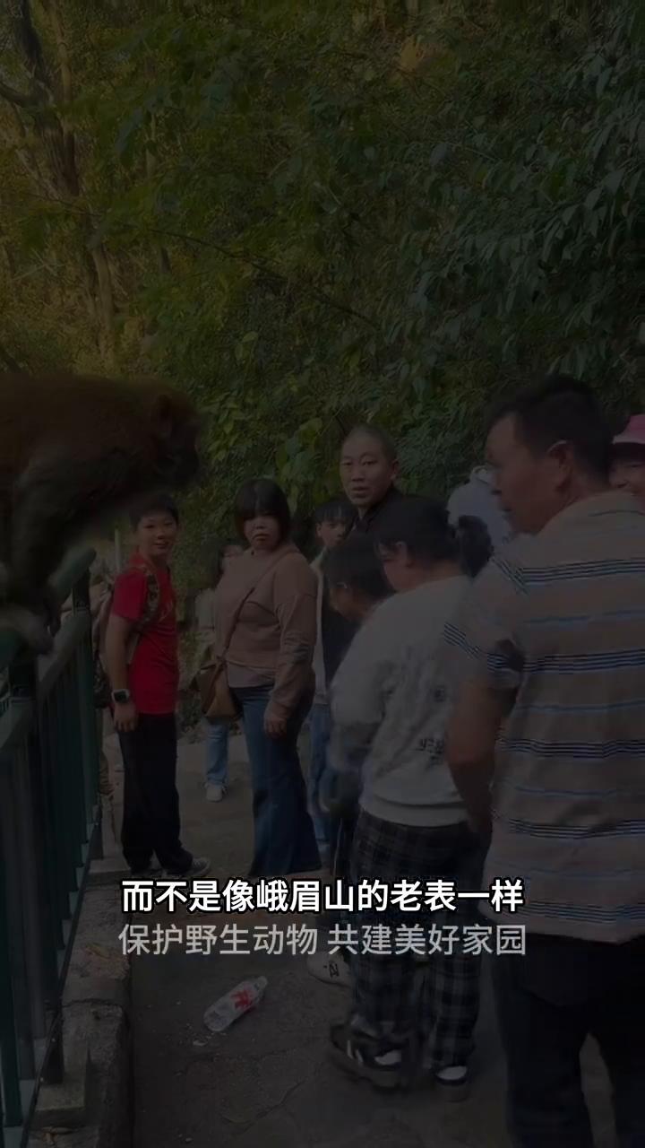 保护野生动物共建美好家园。
当你将手伸到金丝猴的脸前时，它就会紧紧握住你的手指，
