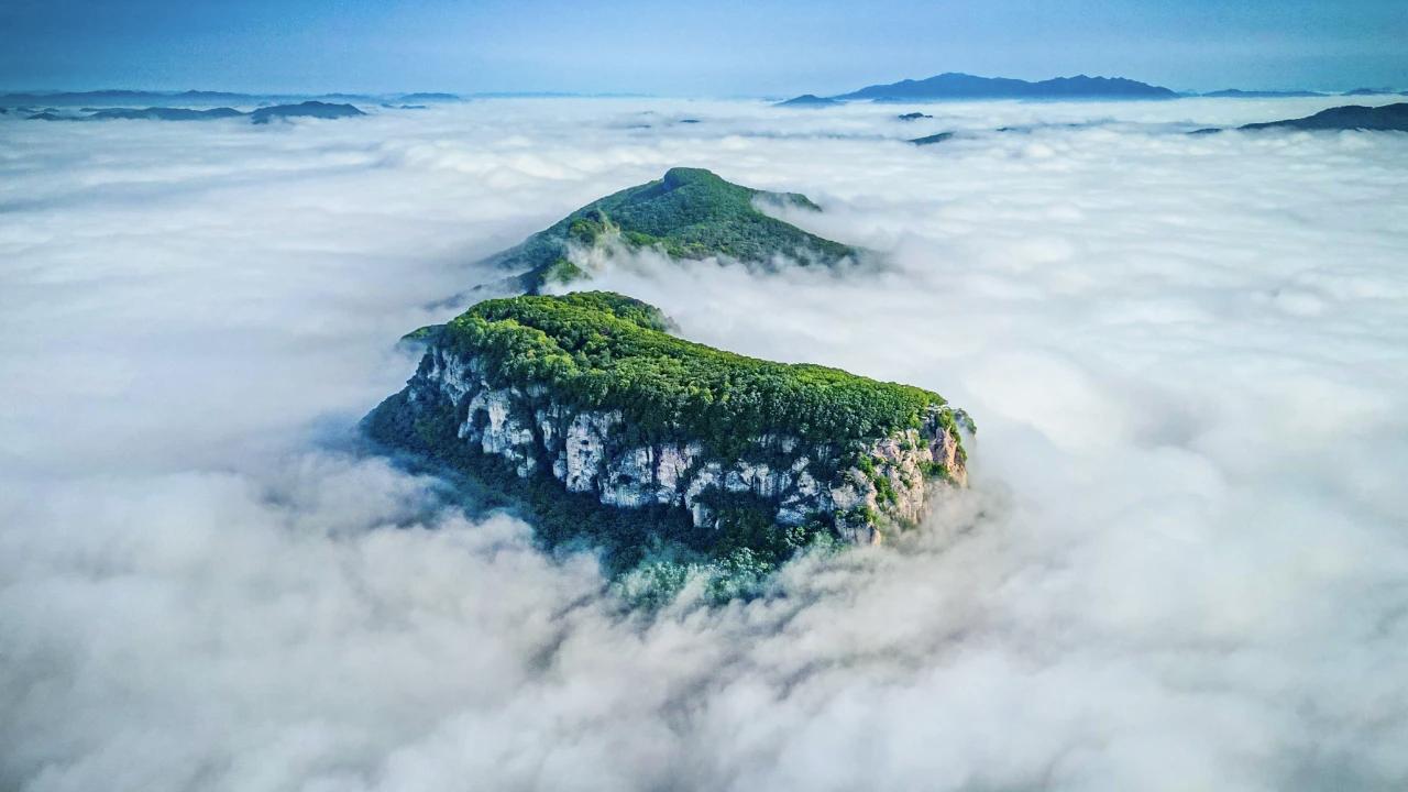【人在职场应该是扁豆，任何人怎么踩你，结果还是一样的，扁的】
     “人在职