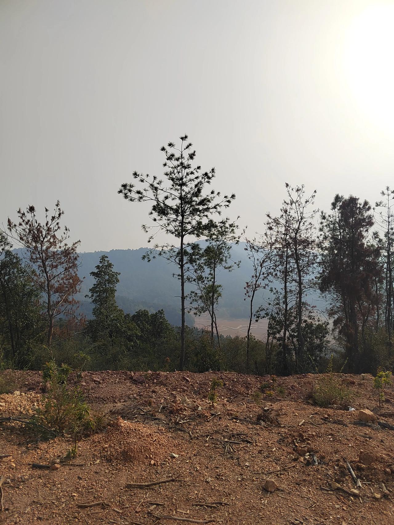 半途并不总是而废，只爬至海拔160米处

总以为三个小时时间很长，但对于去远一点