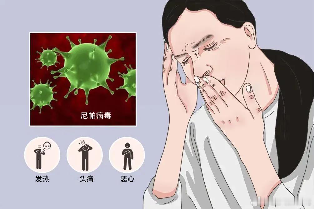 中原劲旅烽火问鼎计划热点观点 军医小贴士丨尼帕病毒科学防控，不必恐慌！尼帕病毒病