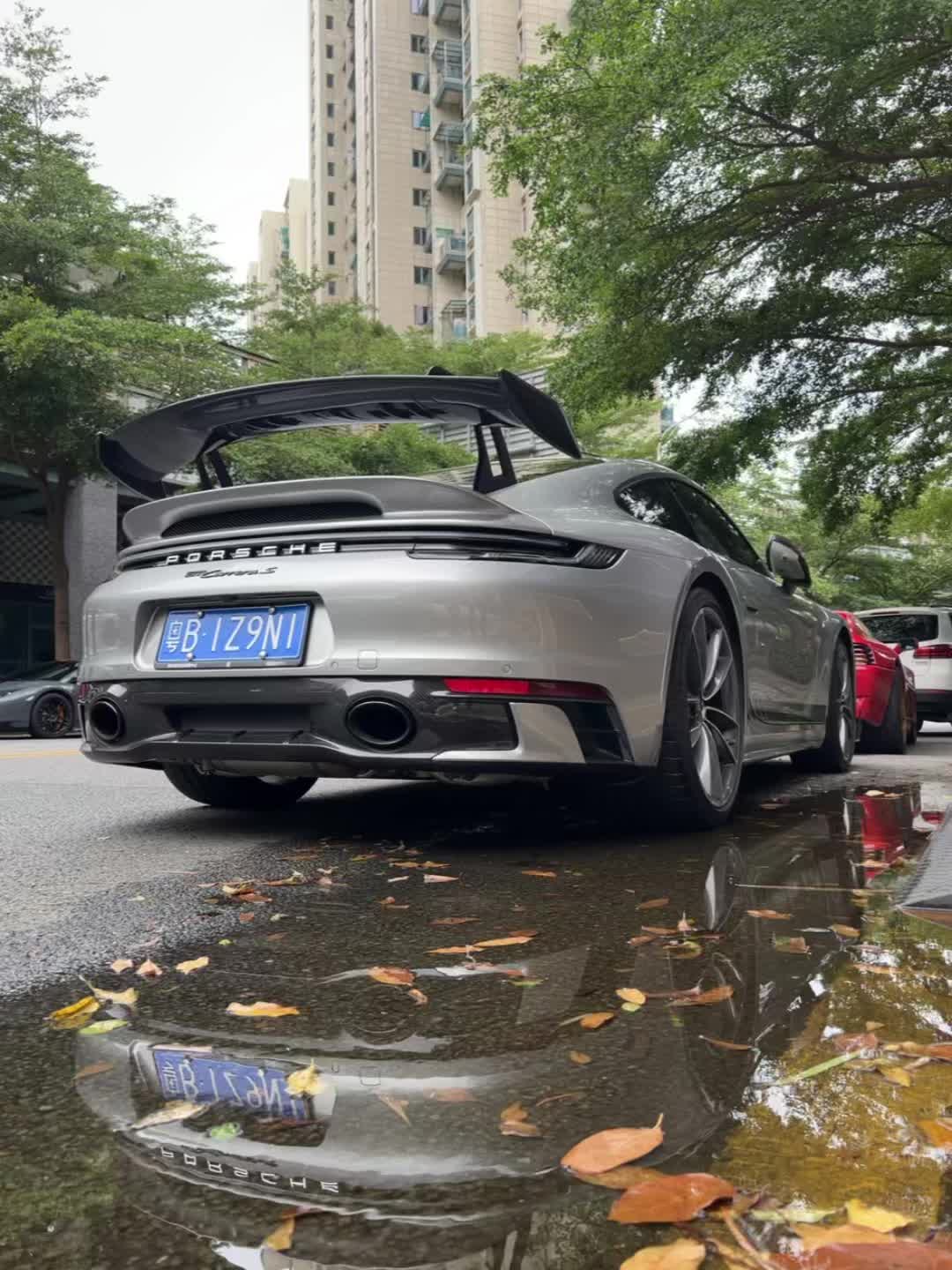 “Porsche 911Carreras”