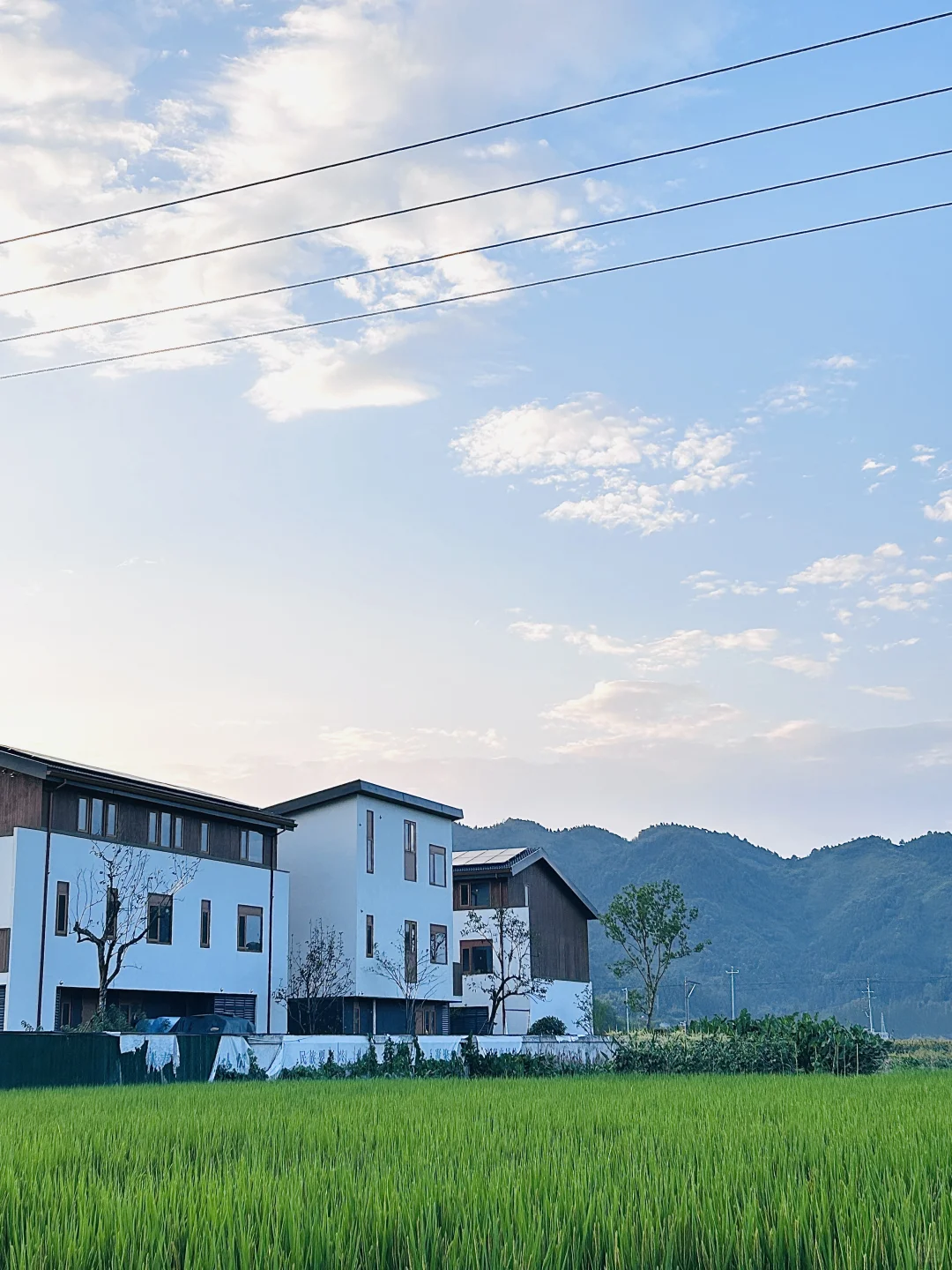 衢州民宿｜住在斑斓的诗画秋景里