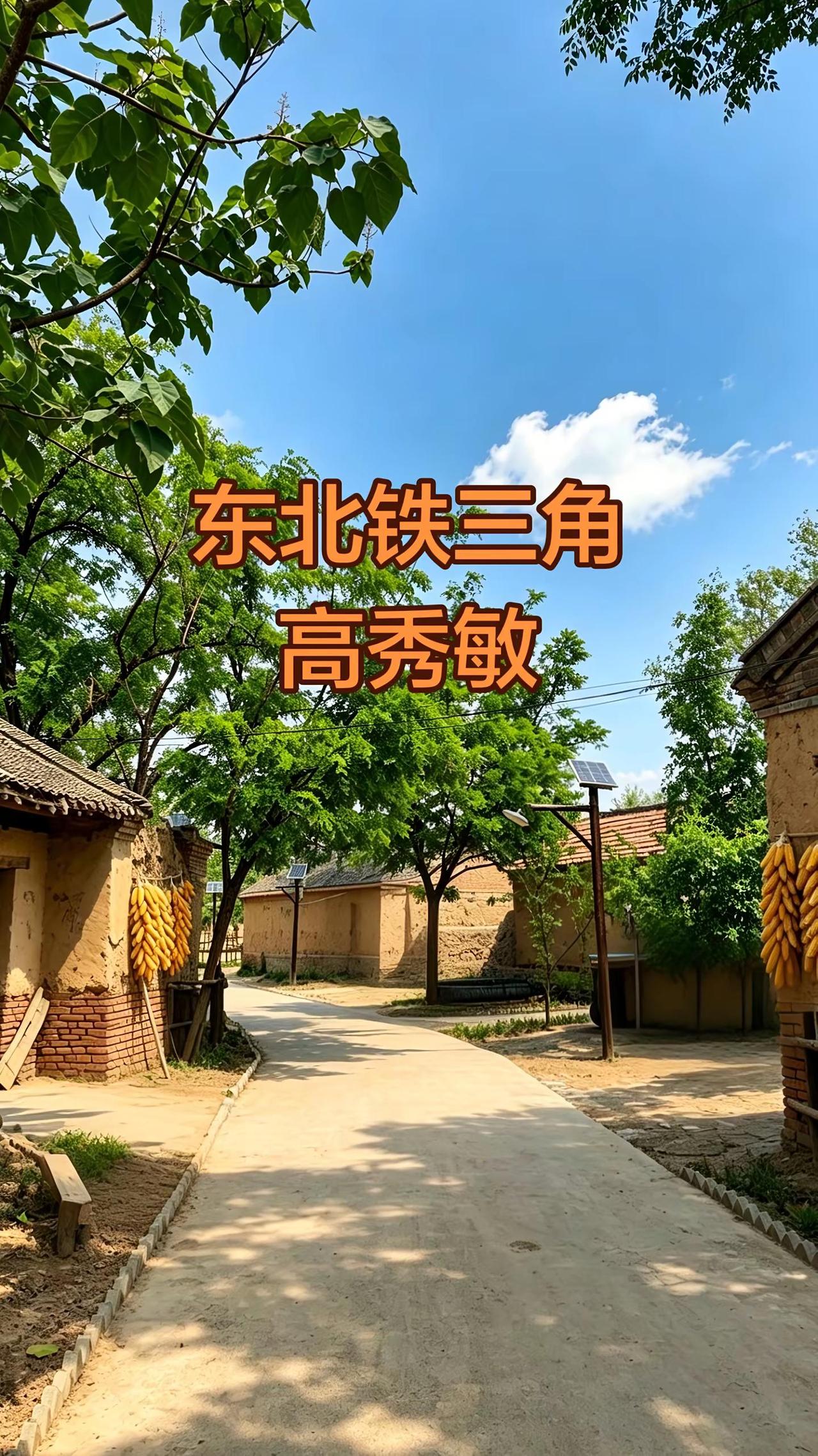 东北铁三角高秀敏的故事。人物故事 高秀敏