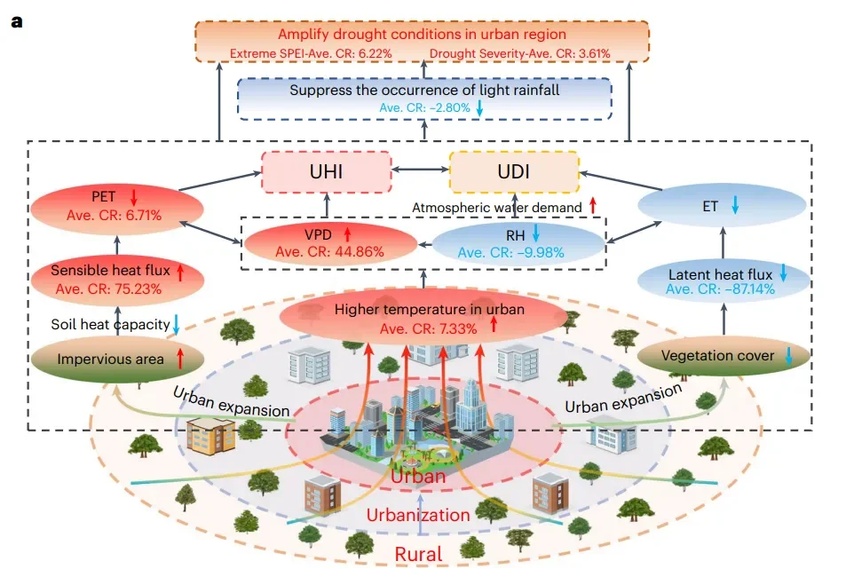 Nature Cities | 城市化导致全球范围内极端