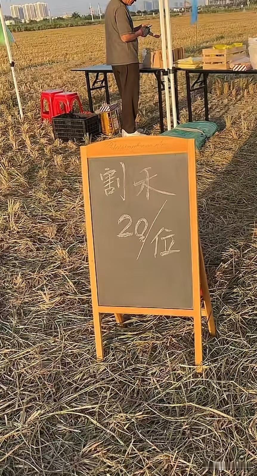 叫我说什么好呢，以前最害怕的活，现在要花20块一位。才能体验这个割禾的“乐趣”。