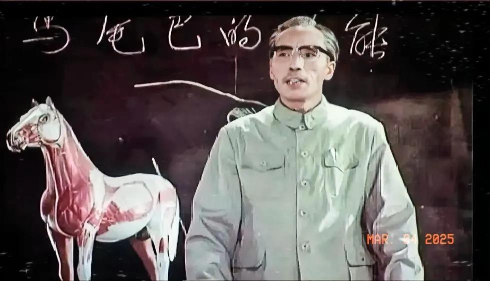 1975年
上映的彩色故事片《决裂》中，孙子清教授有一句著名的台词，就是马尾巴的