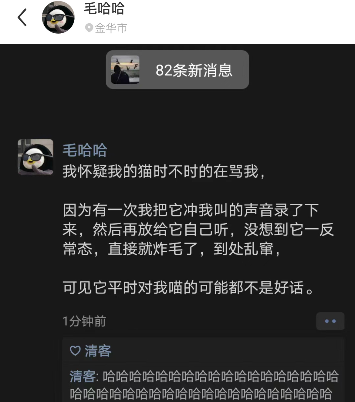 我怀疑我的猫时不时的在骂我，网友：看了你家猫的反应，你的怀疑可能是真的，哈哈哈哈