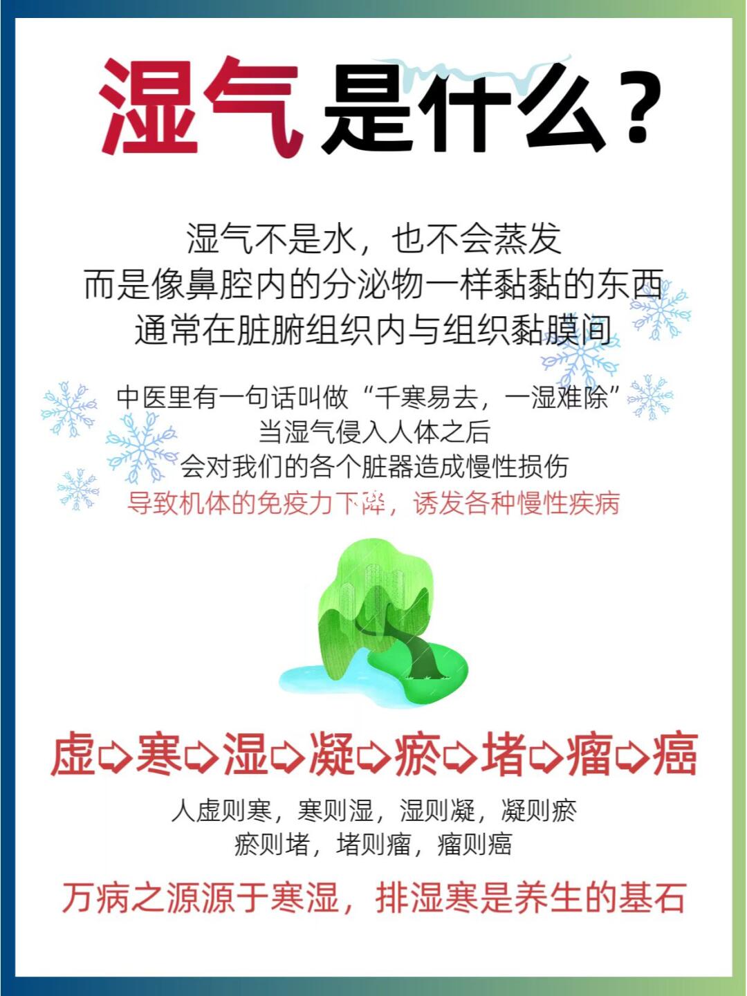 🔥养生须知：湿气到底是什么？💧