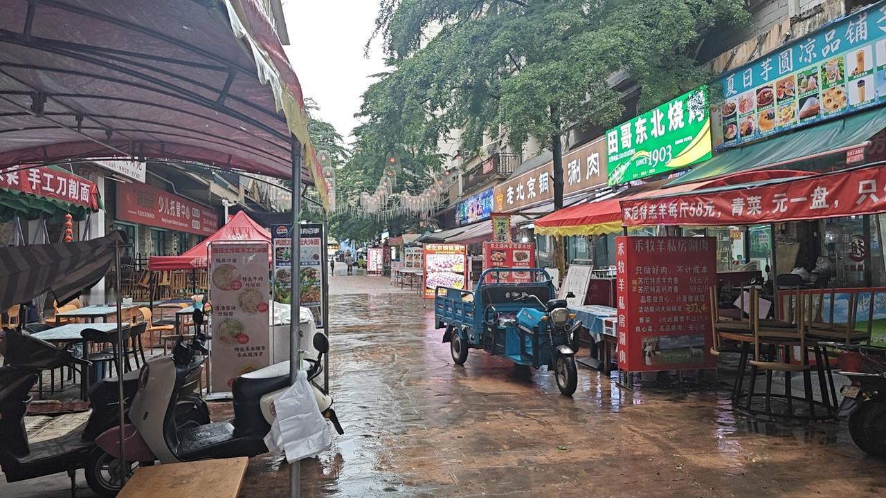版纳淡季到了，雨季也早于去年半个月提前来了。猫冬老人们该走的都走了，不走的打算在