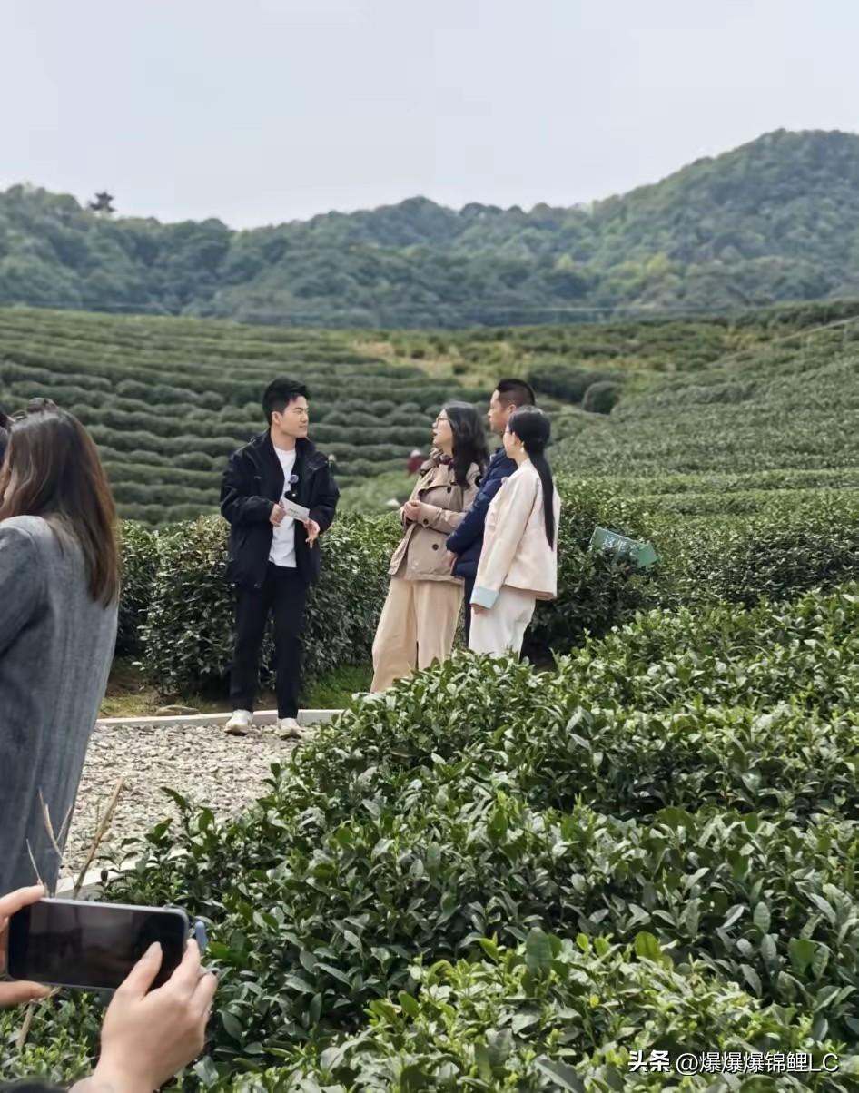 说实话，最近盯着排班表的粉丝，估计心里都有点落空。

董宇辉这是彻底当起“隐形人