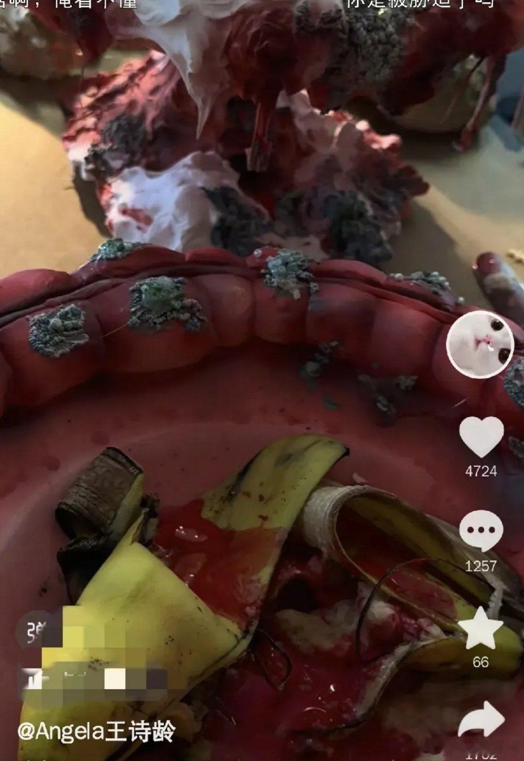 李湘女儿王诗龄迷惑行为，突然发了一段让人摸不着头脑的迷惑视频。  视频里，一个脏
