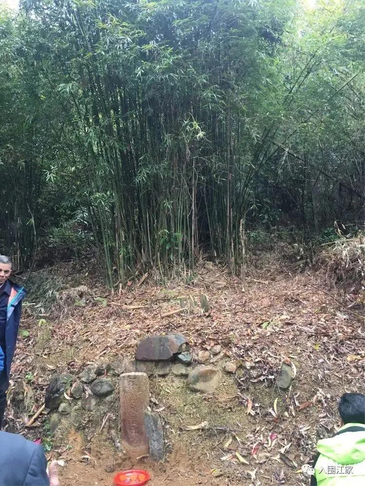 清明祭祖发现坟墓长竹子，民间众说纷纭，但核心共识是：这既是自然现象，也需妥善处理