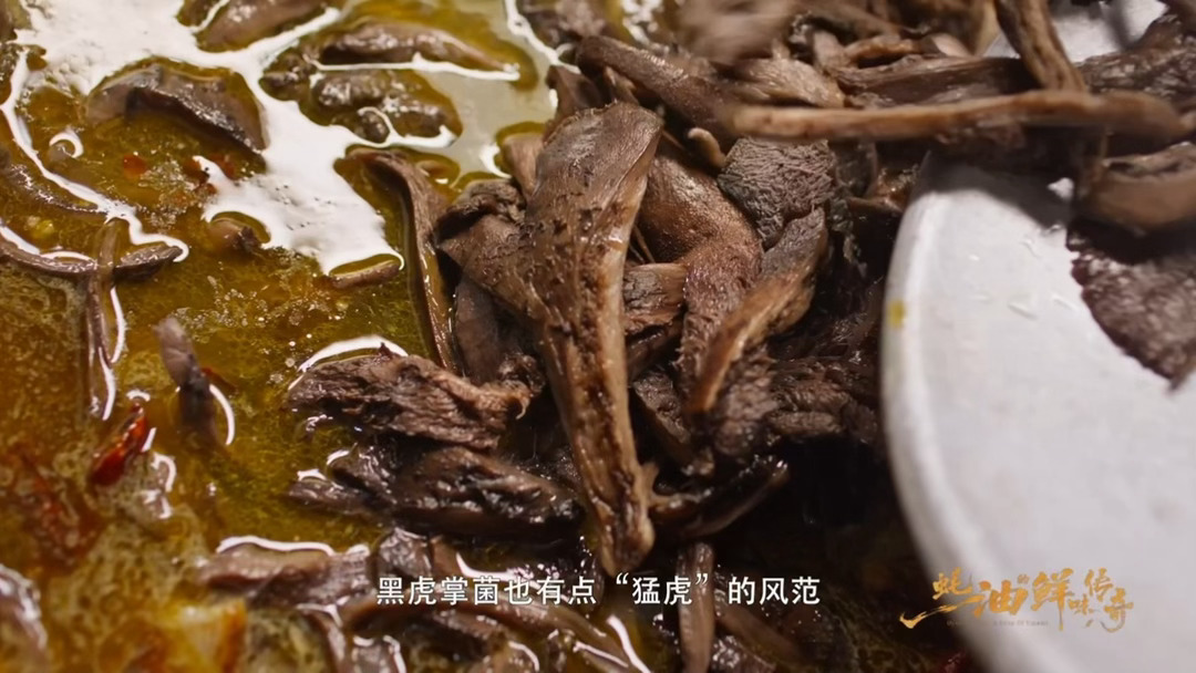 野生菌菇被云南人吃明白了蚝油的鲜味传奇雨后山林长出满满野生菌，云南人自有一套烹饪