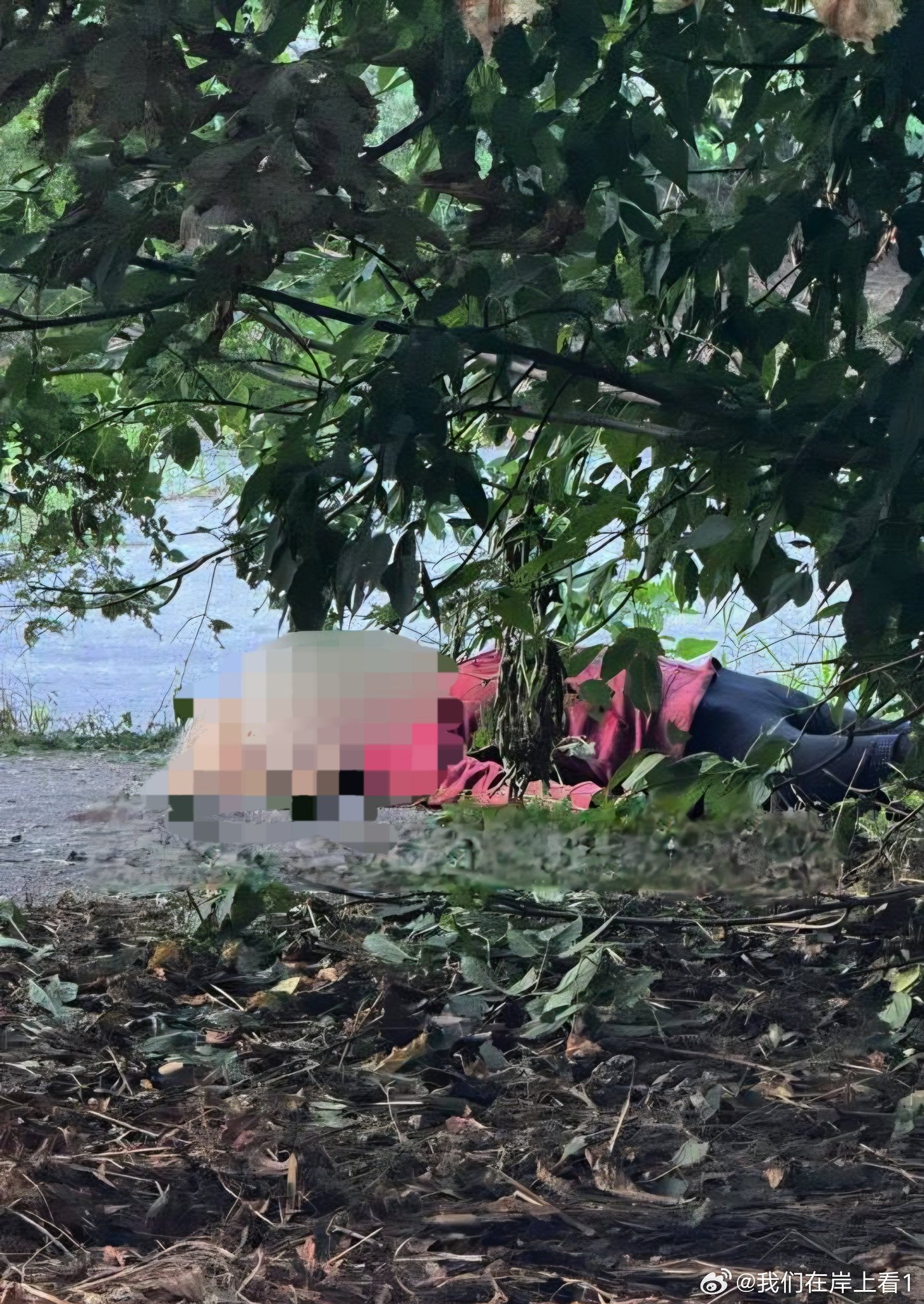 在乌克兰赫尔松，无辜的平民走在路上就被俄罗斯的无人机杀死了。这里空空如也，什么都