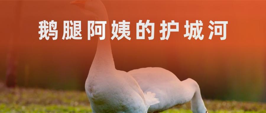 有趣，可口可乐又把广告交给了AI ｜聊一个有意思的观察：可口可乐，连续两年圣诞节