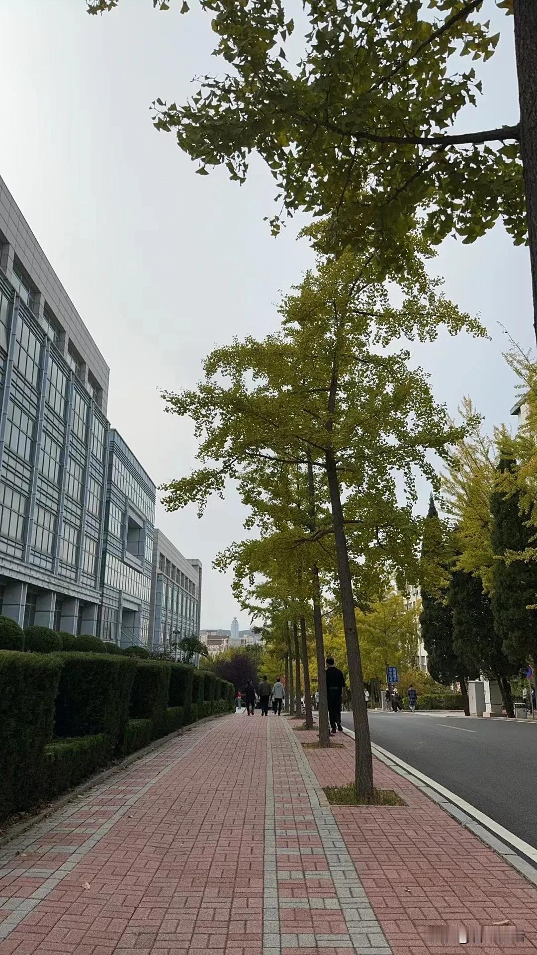干什么去，用你们方言怎么说？东北人会说：干哈去？[捂脸]