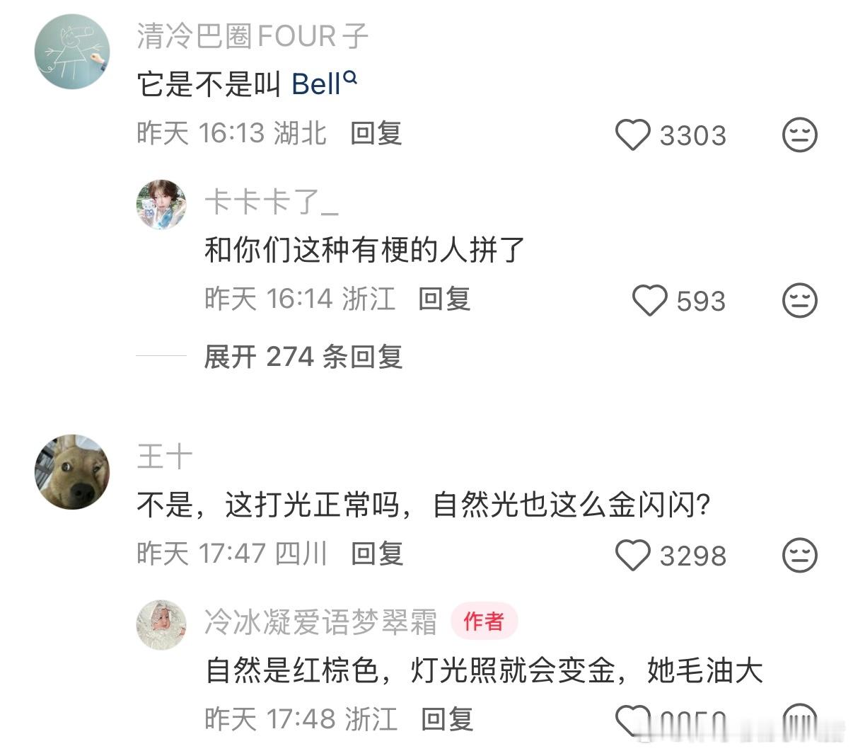 这才是真正的金毛