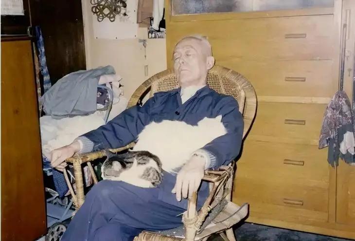 季羡林晚年靠一群猫排遣寂寞。
1993年，82岁的季羡林从北大退休，次年夫人彭德