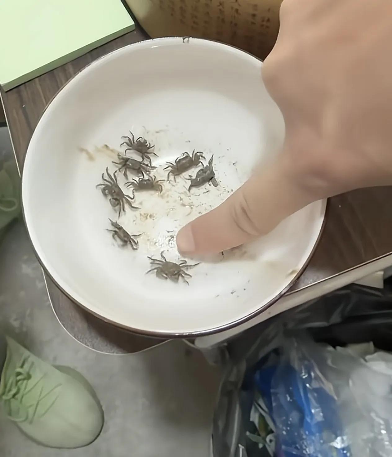 男子吐槽直播间买的98块钱10只蟹，还有一只是死的。宣传4两的公蟹3两的母蟹，结