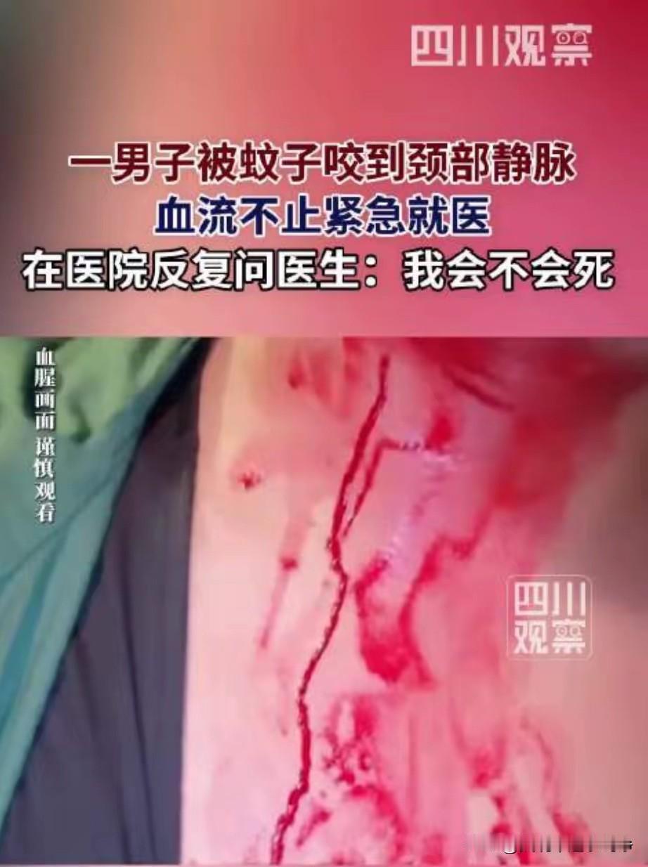 男子被蚊子咬到颈部血流不止

7月20日，上海。一名男子健身结束后等车时遭大量蚊