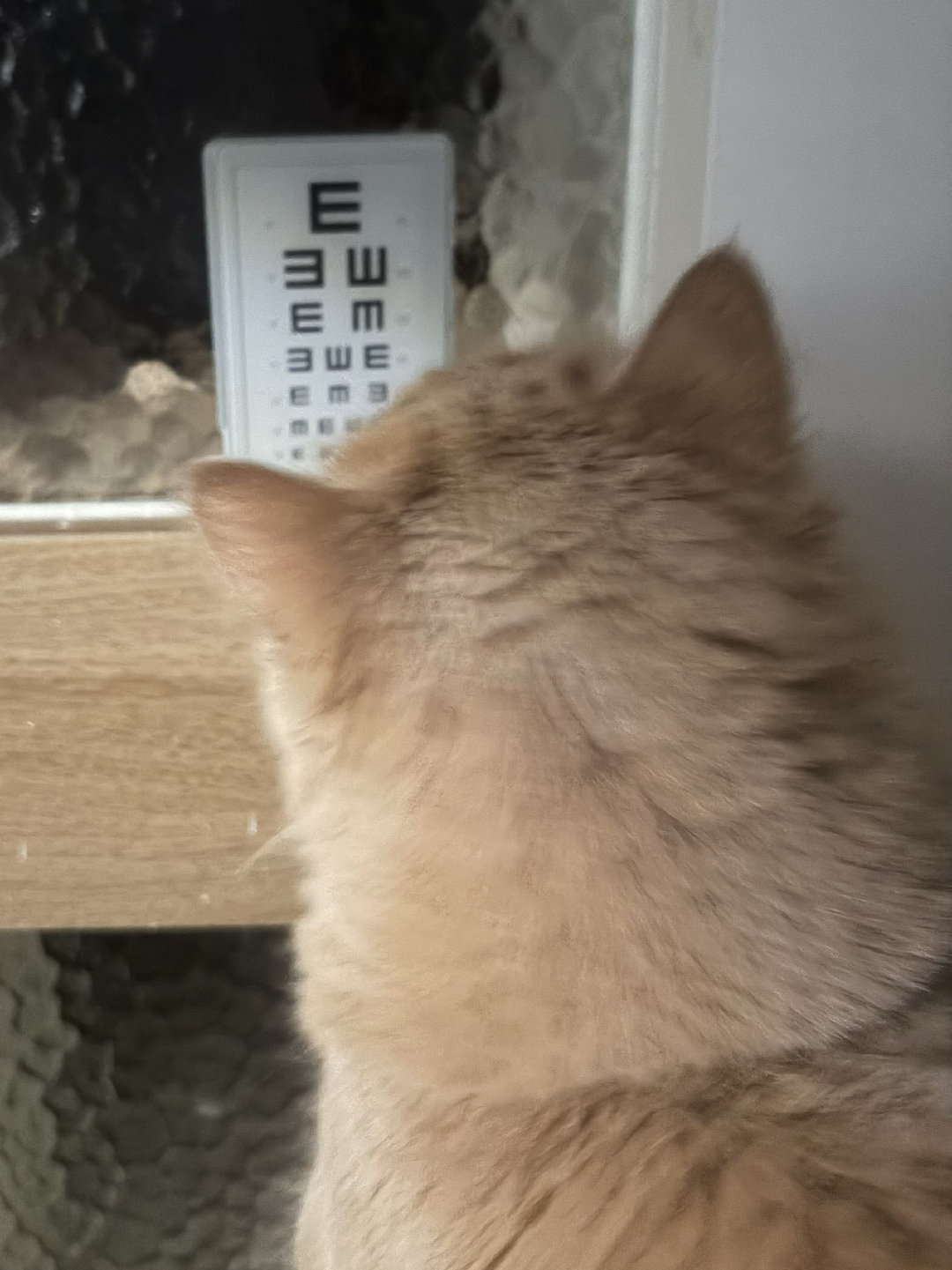 给孩子测视力（x ​​​
