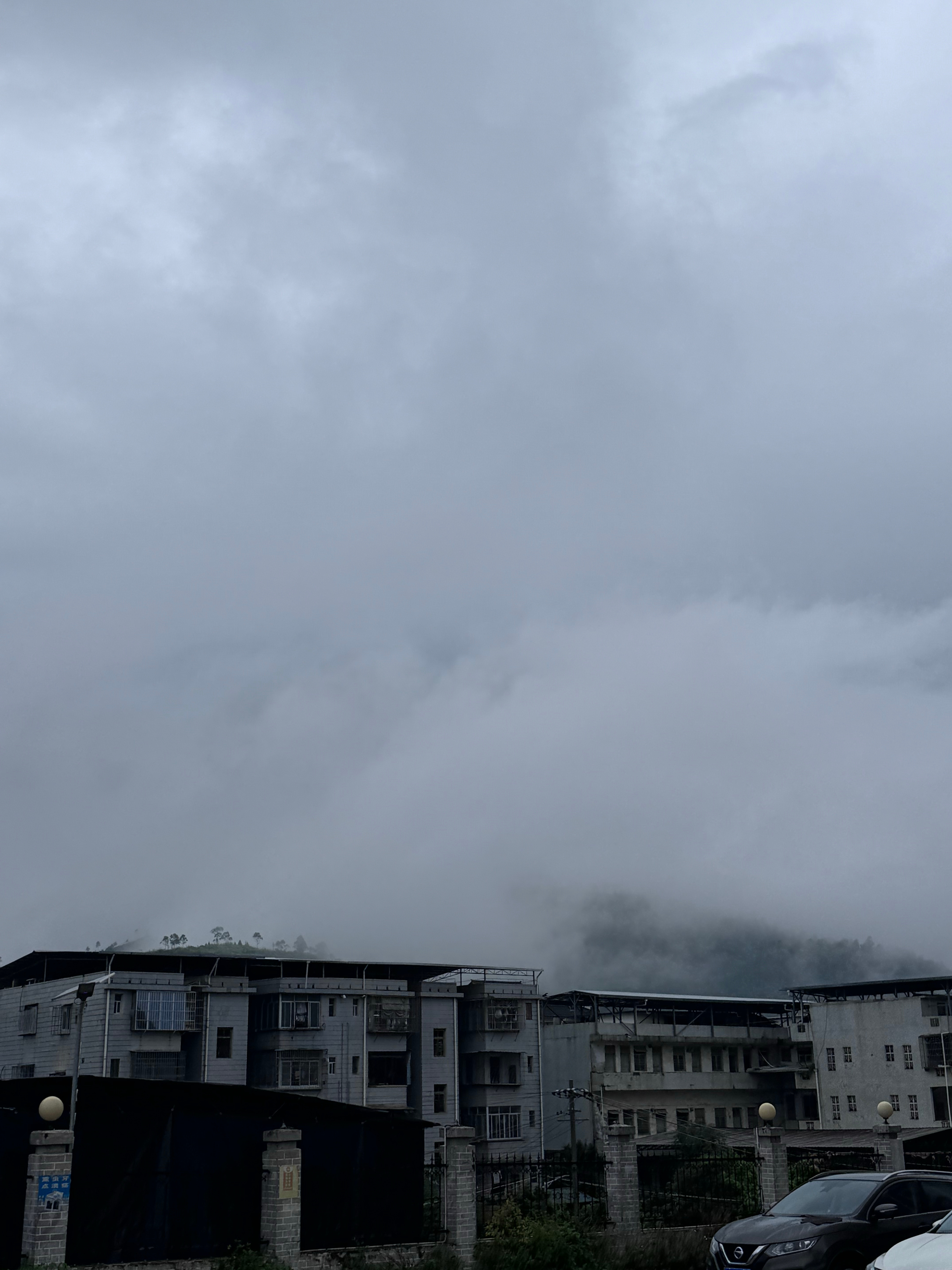 早上的雨下得跟仙境一样