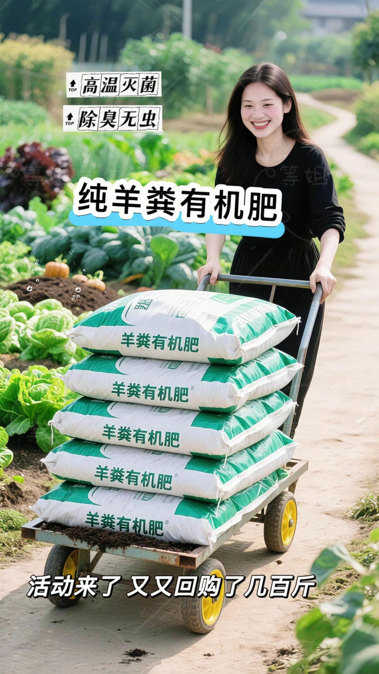 夏日园事，发酵纯羊粪的温柔馈赠

暑气渐浓，泥土蒸腾出盛夏的呼吸。此时翻土施肥，