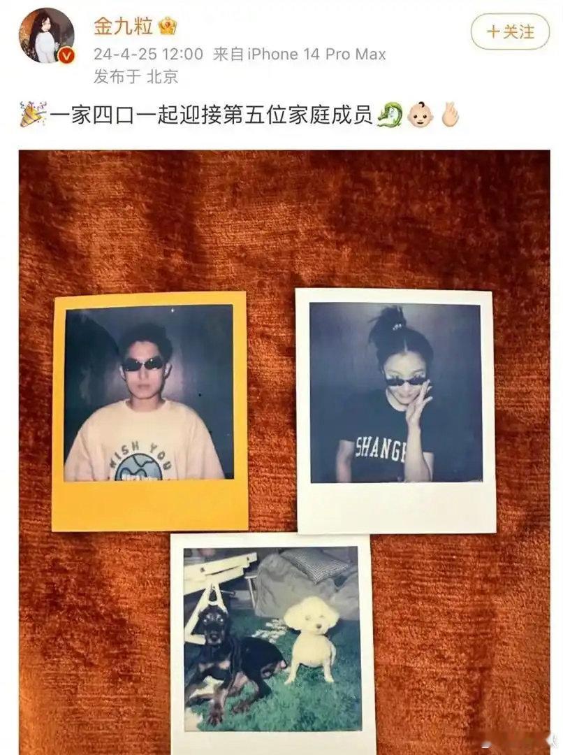 金靖老公终于露面了，难怪金靖会嫁给他 