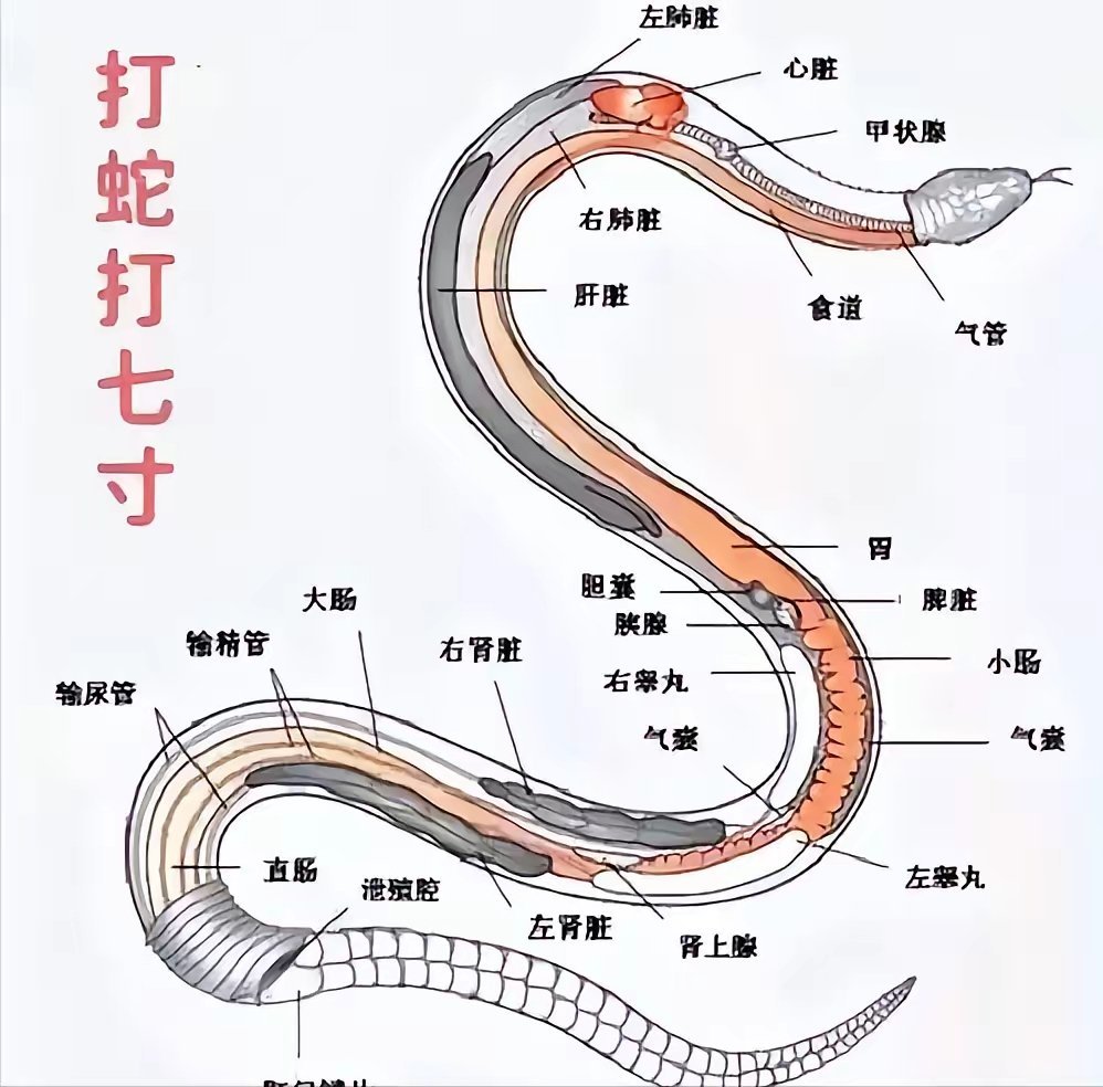 打 
