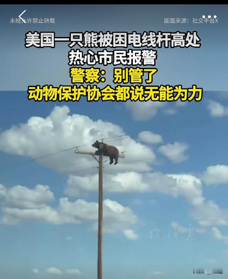 美国，一直觉得是一个特别崇尚自由奔放的国家，公民就和他们的总统一样，喜欢随意做出
