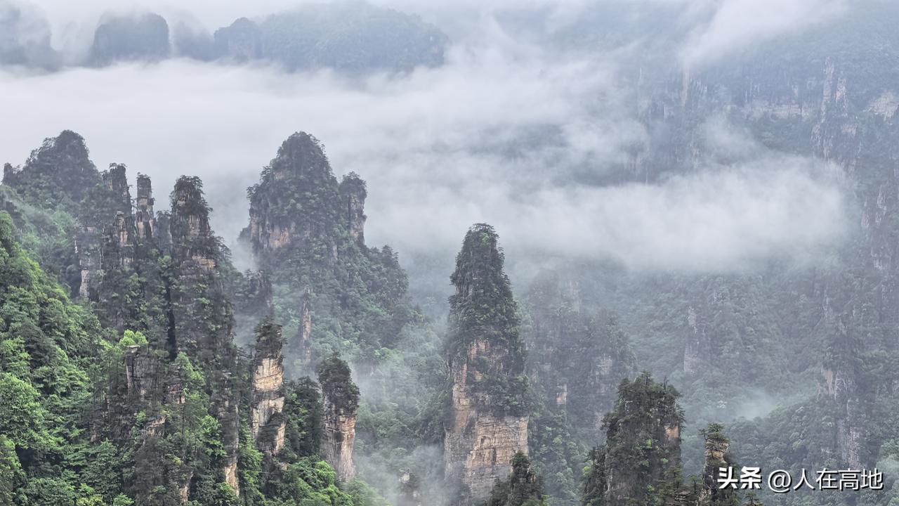 【云斋札记】“长江绕郭知鱼美，好竹连山觉笋香。”出自苏轼的《初到黄州》。
当时，