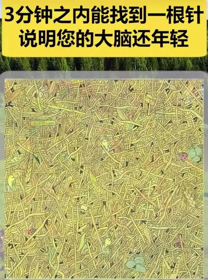 这张图上藏着根针，能看出来的人证明你不得了！