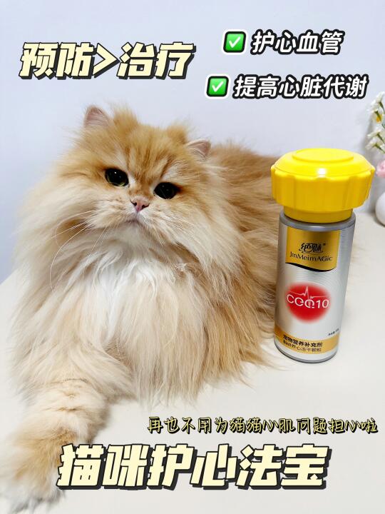 🐱心脏养护指南｜辅酶Q10让猫咪活力满满🐾