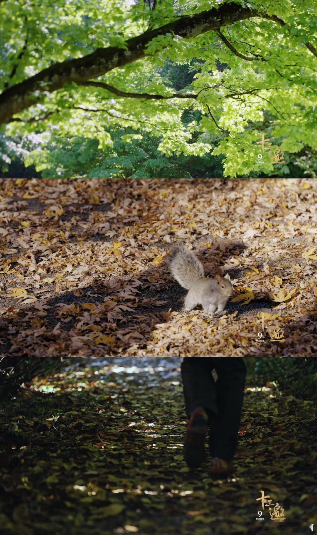 十三邀9崭新的开始 每一季都能找到新的力量，期待新嘉宾的独到见解和深刻碰撞，真是