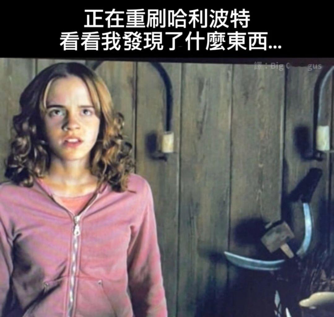 人民的哈利波特 