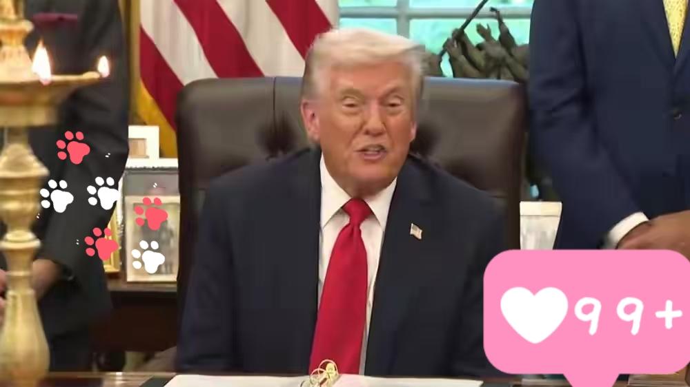 快讯！ 快讯！
特朗普又在“空军一号”上对普京喊话了。这次他说俄罗斯应该结束乌克