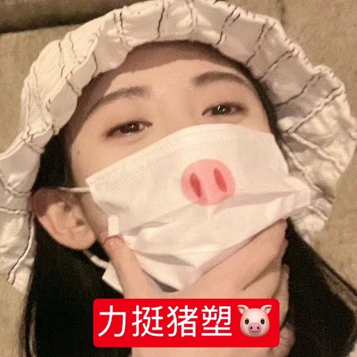 力挺猪塑 