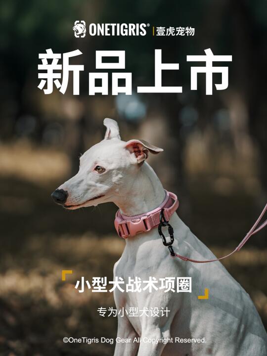 新品上市｜专为小狗设计的项圈⚡轻+软+稳