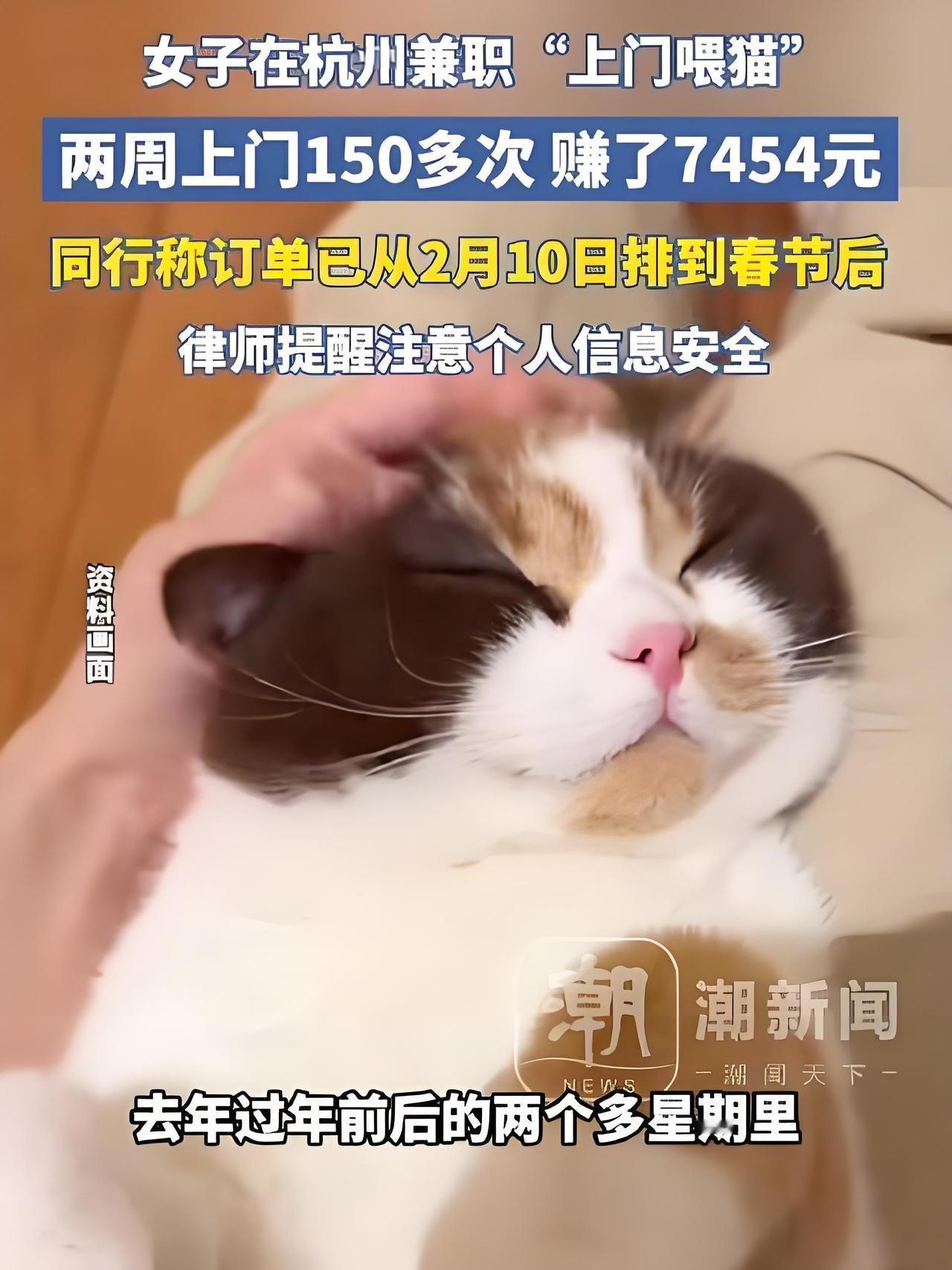 近日，在杭州工作的小黄向记者透露，她兼职上门喂宠已有四年时间。仅去年春节前后的两